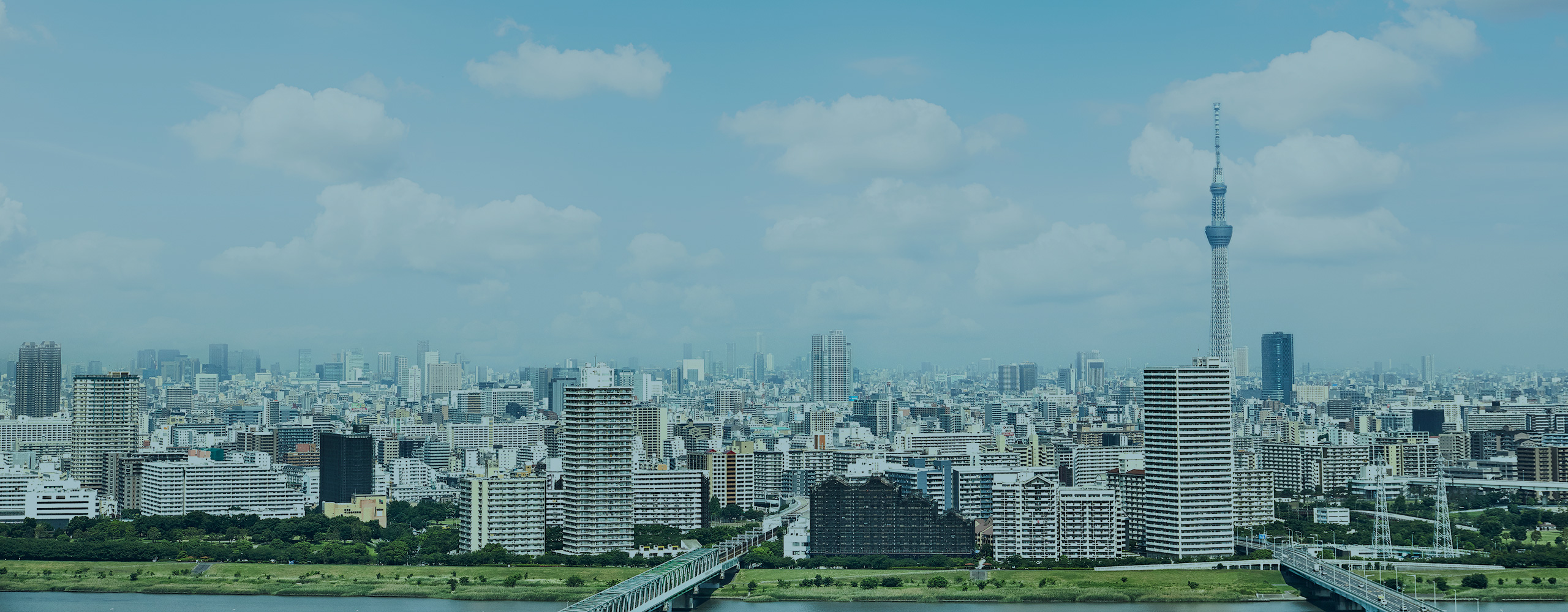 2020年、REJグループは、名古屋に社を構え20年が経過しました。 | REJ株式会社